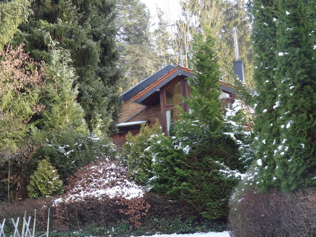 Ferienhaus "Kleiner Onkel" Honerath Exteriör bild
